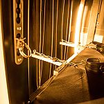 Kinky Domination - Foto Nr. 15