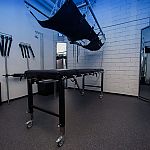 Therapie- und Bizarrzentrum (TBZ) - Foto Nr. 5