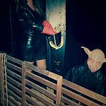 Lady Sarah Lee - Foto Nr. 22