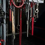 Studio Madonna Girls - Foto Nr. 29