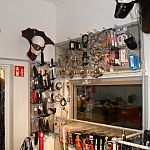LGS-Shop - Foto Nr. 4